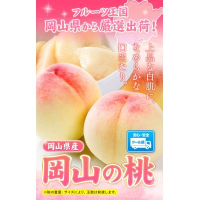 ふるさと納税 矢掛町 [2026年発送先行予約] 岡山の桃 約1kg[2026年6月下旬-9月上旬頃出荷]
