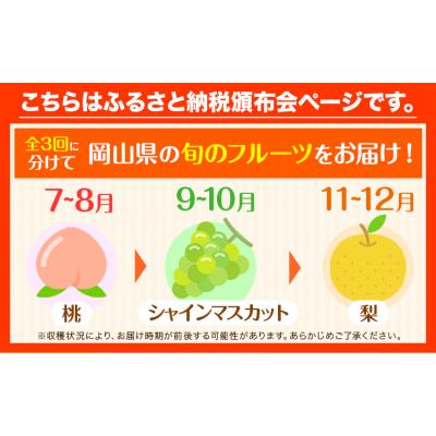 ふるさと納税 矢掛町 岡山県産 旬のフルーツ定期便 全3回[7月上旬-12月末頃発送]
