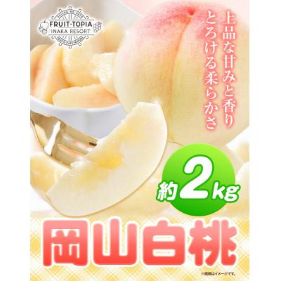 ふるさと納税 矢掛町 岡山白桃 約2kg 水車の里フルーツトピア[7月上旬-8月下旬頃出荷]