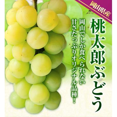 ふるさと納税 矢掛町 桃太郎ぶどう1房680g以上無加温栽培[配送不可地域あり][9月上旬-10月下旬頃出荷]