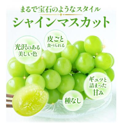 ふるさと納税 矢掛町 訳ありシャインマスカット3房530g以上配送不可