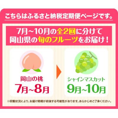 ふるさと納税 矢掛町 岡山県産 旬の 人気 くだもの 定期便 全2回 おためし[2026年7月上旬-11月中旬頃発送]
