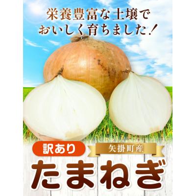 ふるさと納税 矢掛町 訳あり 玉ねぎ 約2kg[5月末-7月中旬頃出荷]