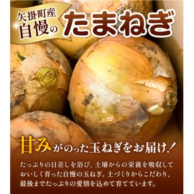 ふるさと納税 矢掛町 訳あり 玉ねぎ 約10kg《5月末-7月中旬頃出荷》の画像