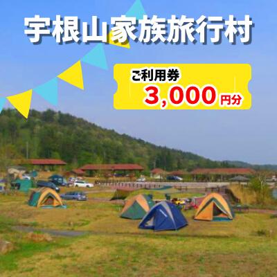 ふるさと納税 三原市 宇根山家族旅行村(キャンプ場) 宇根山天文台 ご利用券 3000円分 キャンプ[131-001]