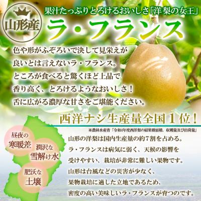 ふるさと納税 山形市 山形のラ・フランス大玉 10kg(20〜28玉) 後半【令和8年産】FS25-748 |  | 01
