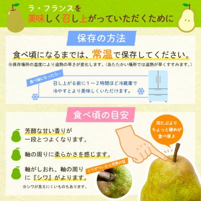 ふるさと納税 山形市 山形のラ・フランス大玉 10kg(20〜28玉) 前半【令和8年産】FS25-747_2