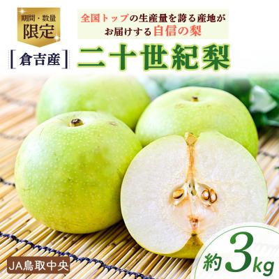 ふるさと納税 倉吉市 二十世紀梨 [倉吉産]3kg(JA鳥取中央) ブランド梨 数量限定