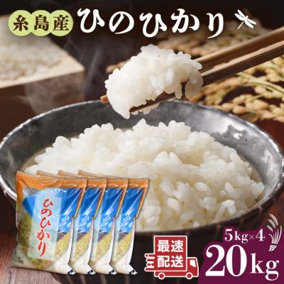 ふるさと納税 糸島市 糸島産 ひのひかり 20kg 糸島市/ 三島商店[AIM075] | 