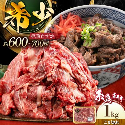 ふるさと納税 糸島市 [月限定10個]希少 和牛 糸島 和牛 こまぎれ 1kg / トラヤミートセンター