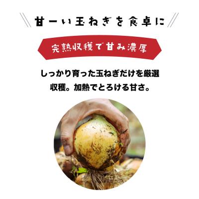 ふるさと納税 淡路市 健幸農園の完熟淡路島産玉ねぎ 5kg　ak29032 |  | 01