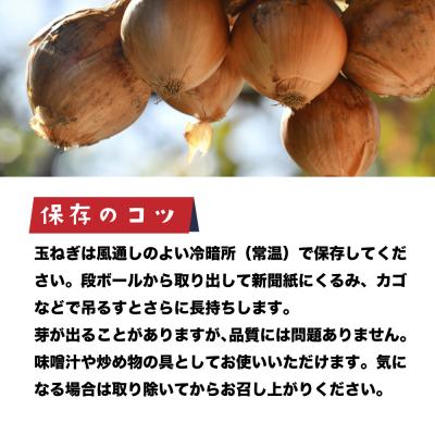 ふるさと納税 淡路市 健幸農園の完熟淡路島産玉ねぎ 5kg　ak29032 |  | 03