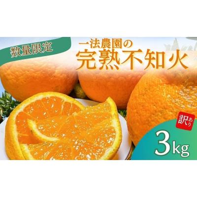 ふるさと納税 紀宝町 完熟不知火ご家庭用ちょこっと訳ありL-3Lサイズ3kg[2月上旬頃順次発送][mkz015]