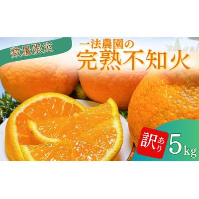 ふるさと納税 紀宝町 完熟不知火ご家庭用 ちょこっと訳ありM-3Lサイズ混合5kg[2月上旬頃順次発送][mkz014B]