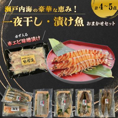 ふるさと納税 三原市 瀬戸内海の豪華な恵み!一夜干し・漬け魚おまかせセット(4〜5パック)[056-001]