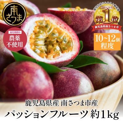 ふるさと納税 南さつま市 鹿児島県産 パッションフルーツ 約1kg(10〜12個程度×1箱) 先行受付 ◆6〜8月順次お届け◆