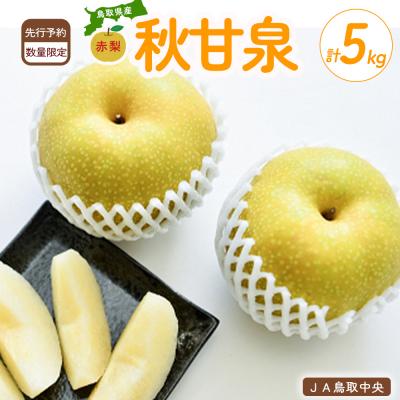 ふるさと納税 倉吉市 秋甘泉 (5kg)[倉吉産] あきかんせん 鳥取 ブランド梨 数量限定