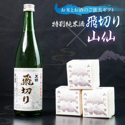 ふるさと納税 下呂市 特別純米酒飛切り 720ml 1本・山仙キューブ米300g×3個セット[2-50]