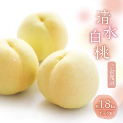 ふるさと納税 赤磐市 桃 2026年 数量限定 白桃 清水白桃 約1.8kg 6〜8玉[NO5765-1269]