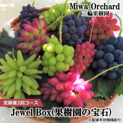 ふるさと納税 赤磐市 ジュエルボックス 皮ごと食べられる 葡萄 4〜5品種 定期便 2026年 [NO5765-1240]