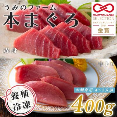 ふるさと納税 大月町 国産 養殖本マグロ2種盛 中トロ 赤身 400g 刺身用 冷凍 柵 ギフト 贈答 産地直送 丼 寿司
