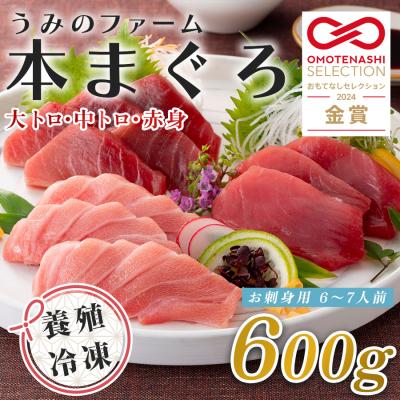ふるさと納税 大月町 国産 養殖本マグロ3種盛 大トロ 中トロ 赤身 600g 刺身用 冷凍 柵 ギフト 贈答 産地直送