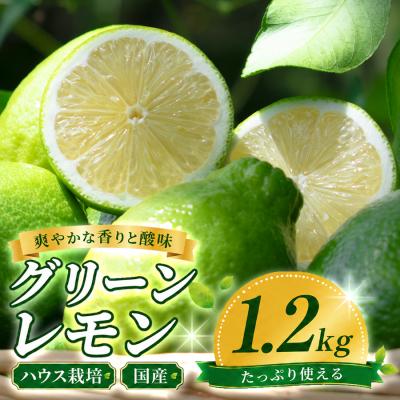ふるさと納税 大月町 国産 グリーンレモン 1.2kg ハウス栽培 レモン 柑橘 香り 爽やか レモンサワー レモネード