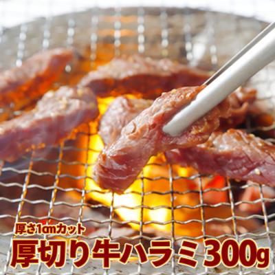 ふるさと納税 大崎市 [1cmカット] 厚切り牛ハラミ 300g 肉 牛肉 ハラミ あっさり 甘タレ 簡単 調理 冷凍