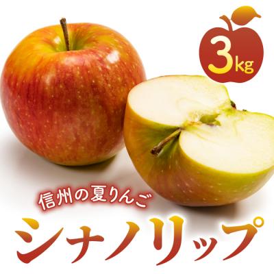 ふるさと納税 東御市 りんご「シナノリップ」3kg 長野県オリジナル品種 |JA信州うえだ東部地区営農課 東御市産