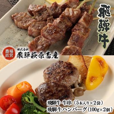 ふるさと納税 下呂市 [遅れてごめんね 父の日]飛騨牛串焼き・飛騨牛ハンバーグセット[22-33fo]