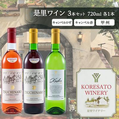 ふるさと納税 赤磐市 ワイン 果実酒 キャンベルロゼ キャンベル赤 甲州 720ml 各1本[NO5765-1253]