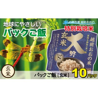 ふるさと納税 大野市 地球にやさしいパックご飯 10食入り[玄米] 減農薬・減化学肥料 「特別栽培米」-地球にやさしいお米