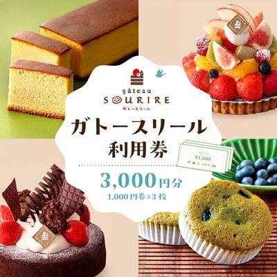 ふるさと納税 可児市 ガトースリール利用券1,000円×3枚