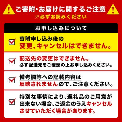 ふるさと納税 千歳市 【定期便6回・隔月】キリンラガービール 350ml(24本)＜北海道千歳工場産＞_3