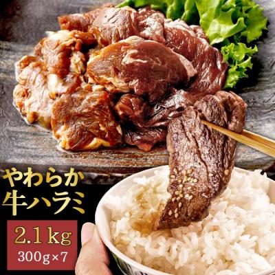 ふるさと納税 薩摩川内市 【訳あり】やわらか牛ハラミ(サガリ)肉　極旨秘伝醤油タレ漬け2.1kg(300g×7袋)AS-578 | 