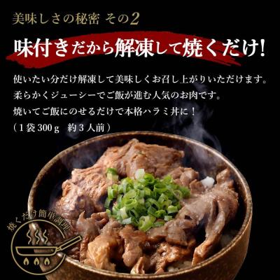ふるさと納税 薩摩川内市 【訳あり】やわらか牛ハラミ(サガリ)肉　極旨秘伝醤油タレ漬け2.1kg(300g×7袋)AS-578 |  | 02