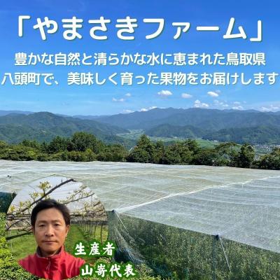 ふるさと納税 八頭町 【2027年発送分先行受付】新甘泉(赤秀) 3kg【やまさきファーム】 |  | 02