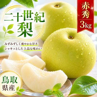 ふるさと納税 八頭町 二十世紀梨(赤秀) 3kg[やまさきファーム]