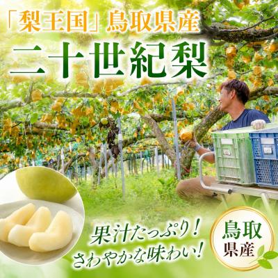 ふるさと納税 八頭町 【2027年発送分先行受付】二十世紀梨(赤秀) 3kg【やまさきファーム】 |  | 01