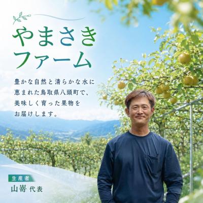 ふるさと納税 八頭町 【2027年発送分先行受付】二十世紀梨(赤秀) 3kg【やまさきファーム】 |  | 02