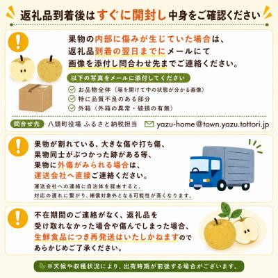ふるさと納税 八頭町 【2027年発送分先行受付】二十世紀梨(赤秀) 3kg【やまさきファーム】 |  | 03
