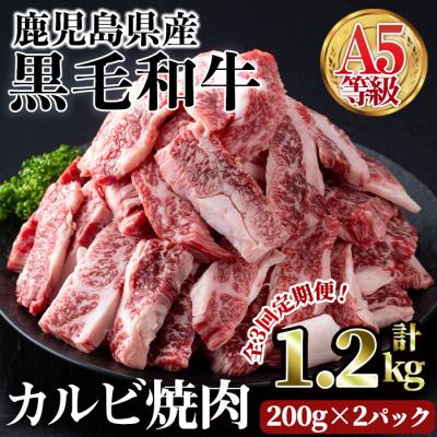 ふるさと納税 曽於市 [3回定期]A5等級鹿児島県産黒毛和牛カルビ焼肉(計1.2kg)