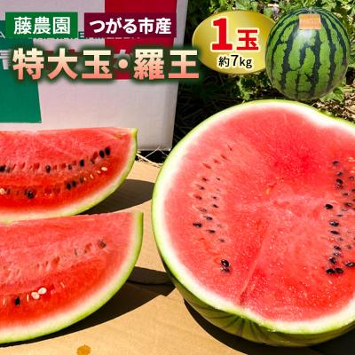 ふるさと納税 つがる市 スイカ (特大玉) 羅王 1玉 [0835]