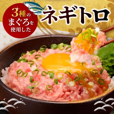ふるさと納税 焼津市 ネギトロ100g×16パック 合計1.6kg(a10-1289) |  | 01