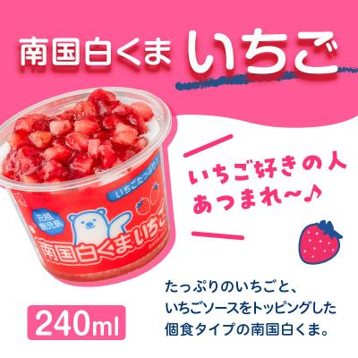 ふるさと納税 鹿児島市 【 数量限定 】セイカ食品 南国白くまDX・南国