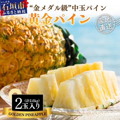 ふるさと納税 石垣市 <先行予約> 石垣島産 黄金パイン 中玉 2玉 約2.6kg <2026年7月以降発送>