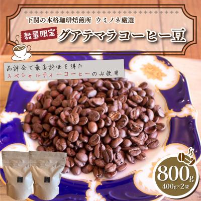 ふるさと納税 下関市 [中煎り] 訳あり コーヒー豆 800g ( 400g × 2袋 ) グアテマラ EW147-B-x
