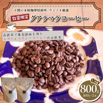 ふるさと納税 下関市 [浅煎り] 訳あり コーヒー粉 800g ( 400g × 2袋 ) グアテマラ EW149-C-x