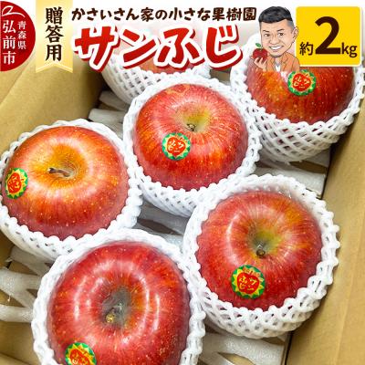 ふるさと納税 弘前市 [26年1月〜発送]りんご サンふじ 約2kg[贈答用]|24_kck-020301