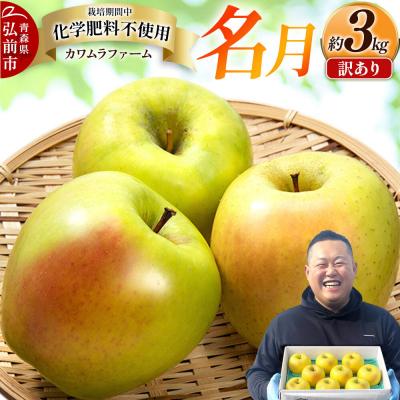 ふるさと納税 弘前市 りんご [26年10月下旬〜発送]名月[訳あり]約3kg 先行受付|24_kmf-060301